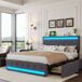 Cama doble, LED, USB, 4 cajones 210x182 Cama doble, LED, USB, 4 cajones 210x182 Gris