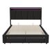 Cama 1, USB, Tipo C, Cama doble, Cajón, Luz LED 200x144 Cama 1, USB, Tipo C, Cama doble, Cajón, Luz LED 200x144 Gris
