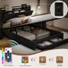 Cama 1, USB, Tipo C, Cama doble, Cajón, Luz LED 200x144 Cama 1, USB, Tipo C, Cama doble, Cajón, Luz LED 200x144 Gris