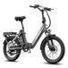 Bicicletta elettrica FAFREES F20 Flex 250W 36V20AH Bicicletta elettrica FAFREES F20 Flex 250W 36V20AH Negro