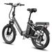 Bicicletta elettrica FAFREES F20 Flex 250W 36V20AH Bicicletta elettrica FAFREES F20 Flex 250W 36V20AH Negro
