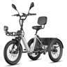 Bicicletas eléctricas FAFREES F20 Mate II - Motor 250W Bateria 48V25AH 20 Polegadas Pneus Travão a disco hidráulico - Cinza-prateado