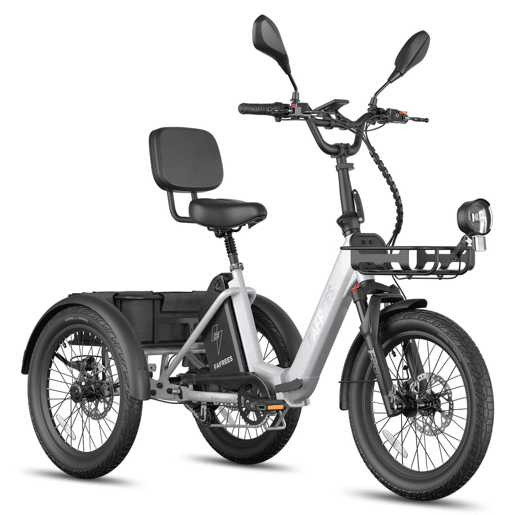 Bicicletas eléctricas FAFREES F20 Mate II - Motor 250W Bateria 48V25AH 20 Polegadas Pneus Travão a disco hidráulico - Cinza-prateado