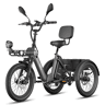 Bicicletas eléctricas FAFREES F20 Mate II - Motor 250W Bateria 48V25AH 20 Polegadas Pneus Travão a disco hidráulico - Preto-chumbo