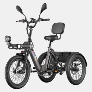 FAFREES F20 Mate II Bicicletas eléctricas - Motor 250W Bateria 48V21AH 20 Polegadas Pneus Travão a disco hidráulico - Preto-chumbo
