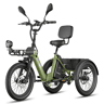 Bicicletas eléctricas FAFREES F20 Mate II - Motor 250W Bateria 48V25AH 20 Polegadas Pneus Travão a disco hidráulico - Verde-militar