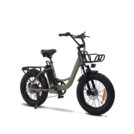 UNIVERCYCLE B5 Bicicletas eléctricas - Motor 250W Bateria 48V13Ah 20 Polegadas Pneus Travão a disco hidráulico - Verde