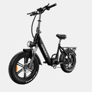 MAXTURN Literider 2.0 Bicicletas eléctricas Bateria 48V13.5AH 20 Polegadas Pneus Travão a disco hidráulico - Preto