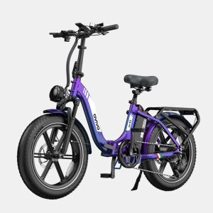 OVIVO C2 PRO E-bike - Motor 250W Bateria 48V18AH 20Polegadas Travões Hidráulicos - Camaleão