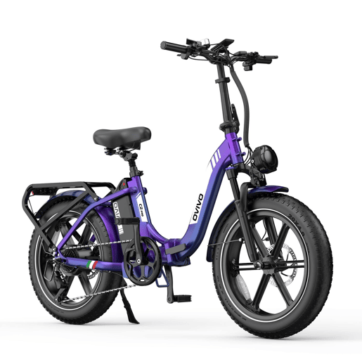OVIVO C2 PRO E-bike - Motor 250W Bateria 48V18AH 20Polegadas Travões Hidráulicos - Camaleão