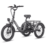 FAFREES F20 Mate Bicicletas eléctricas - Motor 250W Bateria 48V20Ah 20 Pneus Travão de disco hidráulico - Cinza chumbo