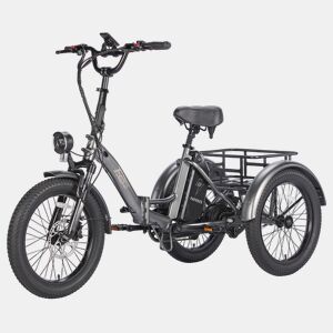 FAFREES F20 Mate Bicicletas eléctricas - Motor 250W Bateria 48V20Ah 20 Pneus Travão de disco hidráulico - Cinza chumbo