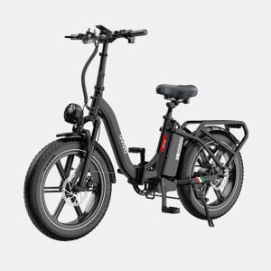 OVIVO C2 PRO E-bike - Motor 250W Bateria 48V18AH 20Polegadas Travões Hidráulicos - Preto
