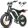 Moto Elétrica | ESKUTE V202 | 250W 48V20.8Ah 20x4 Travões de Disco Mecânicos Acessórios - Verde
