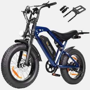Moto Elétrica | ESKUTE V202 | 250W 48V20.8Ah 20x4 Travões de Disco Mecânicos Acessórios - Azul