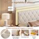 Cama doble, LED, 4 cajas de almacenamiento 208x145 Cama doble, LED, 4 cajas de almacenamiento 208x145 Beige
