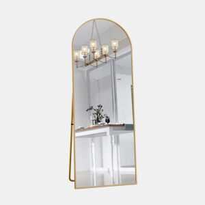 Espelho de corpo inteiro, 162 x 53 cm, espelho arqueado de chão, adequado para sala de estar ou closet, cor dourado