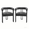 Conjunto de 2 cadeiras de jantar - Encosto e braços integrados, confortáveis e elegantes para a sala de estar, o quarto ou um café - Cinza escuro