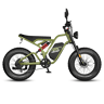 E-bike FAFREES F20 Ultra (Homologação UE L1e-B) - Motor 750W Bateria 48V25AH Pneus 20 Polegadas Travões mecânicos - Verde