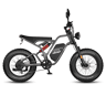 E-bike FAFREES F20 Ultra (Homologação UE L1e-B) - Motor 750W Bateria 48V25AH Pneus 20 Polegadas Travões mecânicos - Cinza