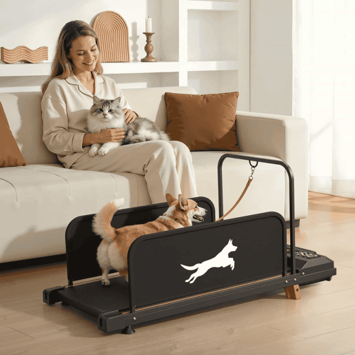 Passadeira para cães de pequeno porte - treino silencioso e portátil para animais de estimação, máquina de fitness para interior, Edição 2026 - Preto Passadeira para cães de pequeno porte - treino silencioso e portátil para animais de estimação, máquina de fitness para interior, Edição 2026 - Preto