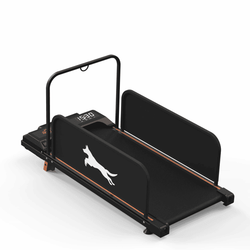 Passadeira para cães de pequeno porte - treino silencioso e portátil para animais de estimação, máquina de fitness para interior, Edição 2026 - Preto Passadeira para cães de pequeno porte - treino silencioso e portátil para animais de estimação, máquina de fitness para interior, Edição 2026 - Preto