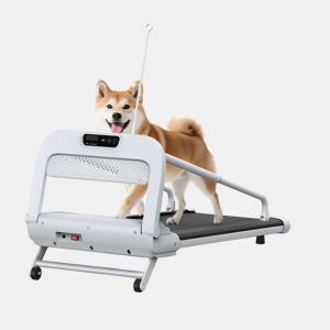 Passadeira para animais de estimação - velocidade ajustável, silenciosa e inteligente, para cães de pequeno e médio porte - preta e branca