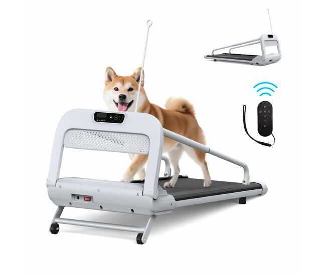 Cinta de correr para mascotas - velocidad ajustable silenciosa inteligente para perros pequeños y medianos - negro y blanco