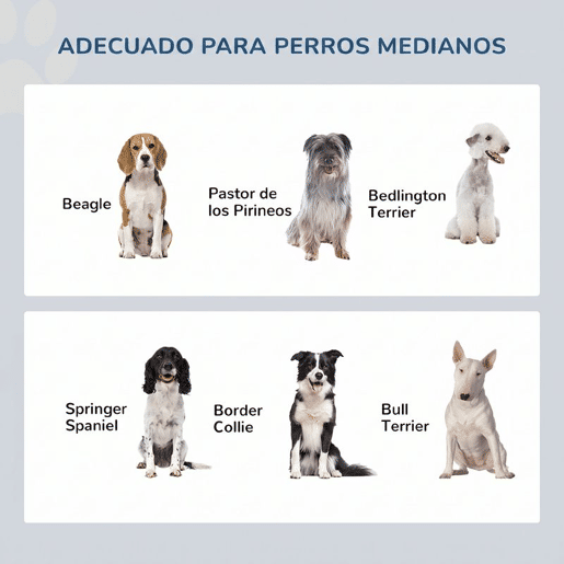 PawHut Comedouro Elevado para Cães com Suporte e 2 Tigelas Removíveis em Aço Inoxidável, para Comida e Água, 58,4x30,5x25,4 cm, Cinzento PawHut Comedouro Elevado para Cães com Suporte e 2 Tigelas Removíveis em Aço Inoxidável, para Comida e Água, 58,4x30,5x25,4 cm, Cinzento