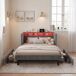 2 en 1, cama con almacenamiento, luces LED, puerto USB 2 en 1, cama con almacenamiento, luces LED, puerto USB Beige