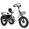 Bicicleta elétrica ESKUTE T302 Pro 250W 48V20.8Ah Dobrável Travões disco Branco