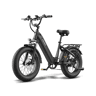 Bicicleta elétrica FAFREES F20 ROVER 48V20Ah 75-100km 25kmh Cor Preto