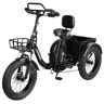 ESKUTE T302 Pro Bicicleta Elétrica 250W 48V20.8Ah 20'' - Preto