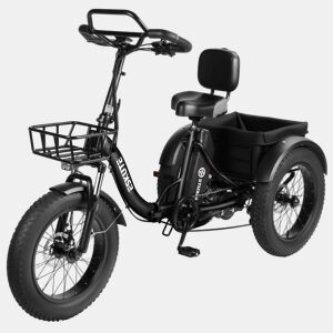 ESKUTE T302 Pro Bicicleta Elétrica 250W 48V20.8Ah 20'' - Preto