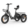 Triciclo elétrico de carga PVY F20 48V21Ah 80km 20x4.0 Cor Cinzento