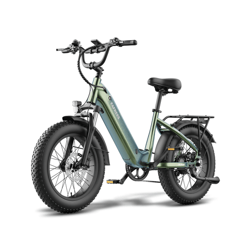Bicicleta elétrica FAFREES F20 ROVER 48V20Ah 75-100km 25kmh Cor Verde
