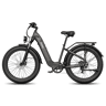 Bicicleta elétrica FAFREES F26 ROVER 48V20Ah 70-95km 26x4.0 Cor Preto