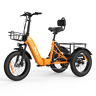 Triciclo elétrico de carga PVY F20 48V21Ah 80km 20x4.0 Cor Laranja