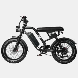 Bicicleta Elétrica MAXTURN MX10 48V13.5Ah Travões Hidráulicos Preto