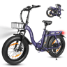 ESKUTE D202 E-Bike - motor 250W bateria 48V20.8Ah 20x4 travões de disco mecânicos - Roxo