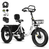 Bicicleta elétrica ESKUTE T302 Pro 250W 48V20.8Ah Dobrável Travões disco Acessórios Branco