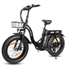 ESKUTE D202 E-Bike - motor 250W bateria 48V20.8Ah 20x4 travões de disco mecânicos - Preto