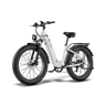 Bicicleta elétrica FAFREES F26 ROVER 48V20Ah 70-95km 250W Cor Cinzento