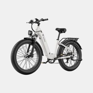 Bicicleta elétrica FAFREES F26 ROVER 48V20Ah 70-95km 250W Cor Cinzento