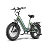 Bicicleta elétrica FAFREES F20 ROVER 48V15Ah 55-80km 20x4.0 Cor Verde