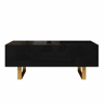 Mesa de centro elevável 100 x 50 cm - Com espaço de arrumação, gaveta e pés de ferro, acabamento brilhante - Preto