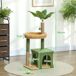 Árbol para Gato Terciopelo de Teddy, Aglomerado de Madera PawHut Árbol para Gato Terciopelo de Teddy, Aglomerado de Madera PawHut Verde
