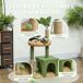 Árbol para Gato Terciopelo de Teddy, Aglomerado de Madera PawHut Árbol para Gato Terciopelo de Teddy, Aglomerado de Madera PawHut Verde