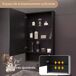 Armario con espejo. Pantalla LED, compartimentos de almacenamiento Armario con espejo. Pantalla LED, compartimentos de almacenamiento Negro
