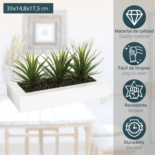 Centro de Mesa - 3 Aloe Vera - Altura 17 cm Centro de Mesa - 3 Aloe Vera - Altura 17 cm